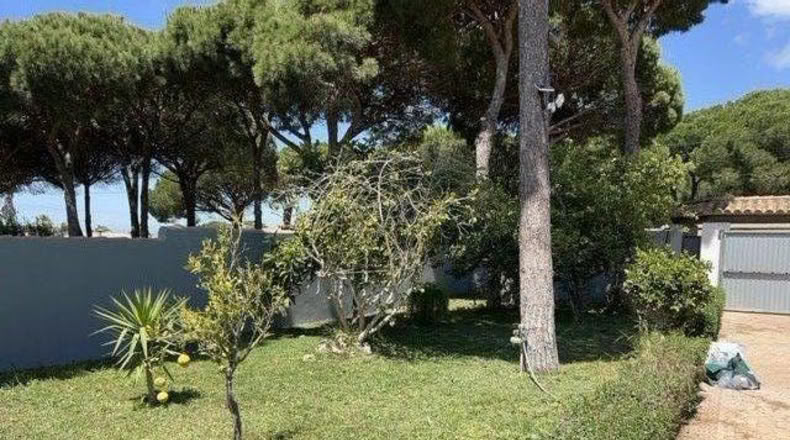 Cádiz - Chiclana de la Frontera - 1000m2