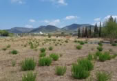 Sòl urbà en lloguer a la España, Olesa de Montserrat, ref.: TR279363 foto