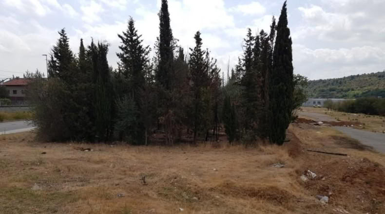 Barcelona - Olesa de Montserrat - 3300m2