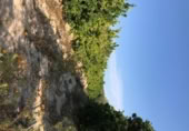 Non-developable land for rent on España, Orihuela, ref: TR313062 photo