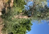 Non-developable land for rent on España, Orihuela, ref: TR313062 photo