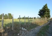 Non-developable land for rent on España, Cubelles, ref: TR340779 photo