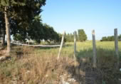 Non-developable land for rent on España, Cubelles, ref: TR340779 photo