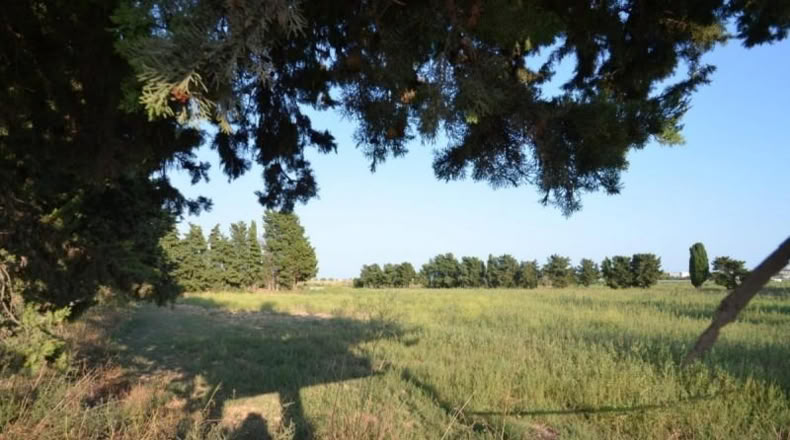 Barcelona - Cubelles - 14500m2