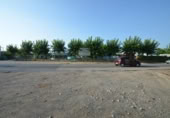 Non-developable land for rent on España, Cubelles, ref: TR340779 photo