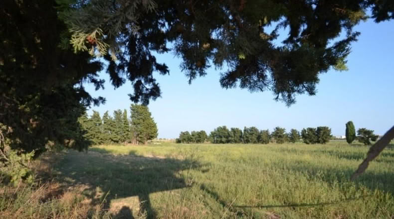 Barcelona - Cubelles - 14500m2