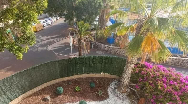 Santa Cruz de Tenerife - Arona - 300m2