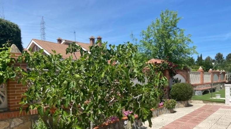 Мадрид - Villalbilla - 1100m2