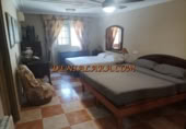 Chalet independiente con terreno en alquiler en la España, Dénia, ref: TR361158 foto