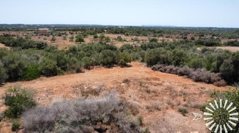 Illes Balears - Santañy - 300m2