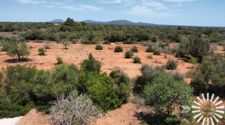 Illes Balears - Santañy - 300m2