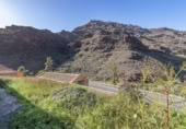 Detached villa with land for rent on España, Playa de Mogán, ref: TR279357 photo