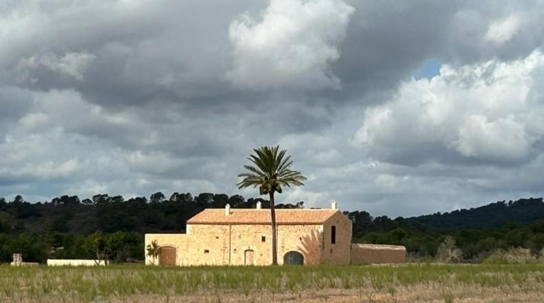 Islas Baleares - Porreras - 1000m2