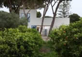 Xalet independent amb terreny en lloguer a la España, Chiclana de la Frontera, ref.: TR314547 foto