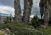 Sòl urbà en lloguer a la España, Fuente Álamo, ref.: TR214590 foto