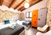 Detached villa with land for rent on España, Dénia, ref: TR302678 photo