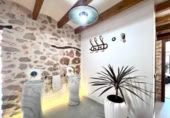 Detached villa with land for rent on España, Dénia, ref: TR302678 photo