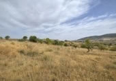 Chalet independiente con terreno en venta en la España, Padul, ref: TR298087 foto