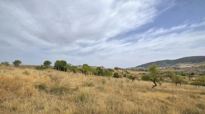 Granada - Padul - 1200m2