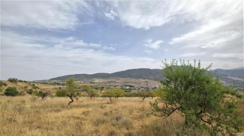 Granada - Padul - 1200m2