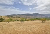 Chalet independiente con terreno en venta en la España, Padul, ref: TR298087 foto