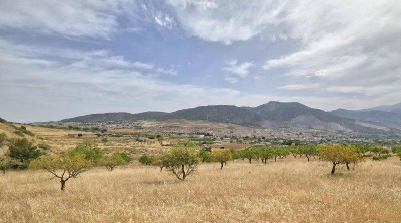 Granada - Padul - 1200m2