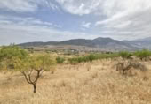 Chalet independiente con terreno en venta en la España, Padul, ref: TR298087 foto