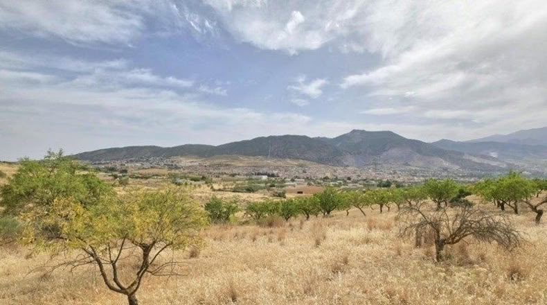 Granada - Padul - 1200m2