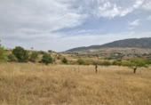 Chalet independiente con terreno en venta en la España, Padul, ref: TR298087 foto
