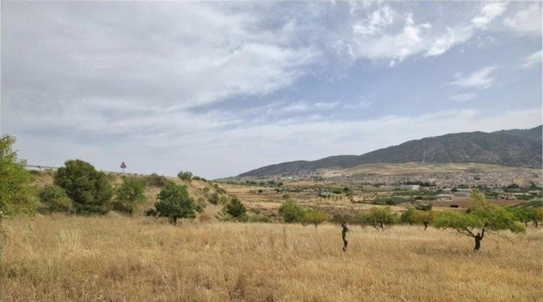 Granada - Padul - 1200m2