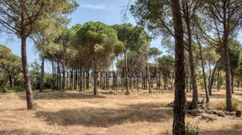Gerona - Calonge - 286m2
