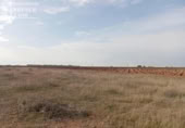 Terreno no urbanizable en venta en la España, Socuéllamos, ref: TR283758 foto