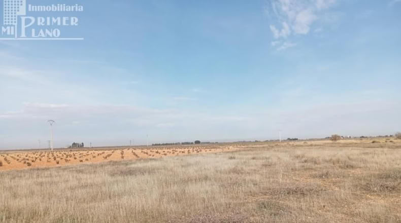 Ciudad Real - Socuéllamos - 6289m2