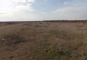 Terreno no urbanizable en venta en la España, Socuéllamos, ref: TR283758 foto