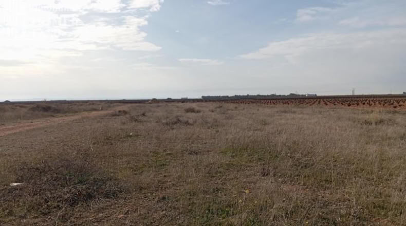 Ciudad Real - Socuéllamos - 6289m2