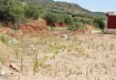 Non-developable land for sale on España, La Puerta de Segura, ref: TR306885 photo