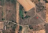 Terreny no urbanitzable en venda a la España, la Vall d'Alba, ref.: TR303814 foto