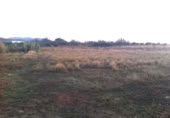 Terreny no urbanitzable en venda a la España, la Vall d'Alba, ref.: TR303814 foto