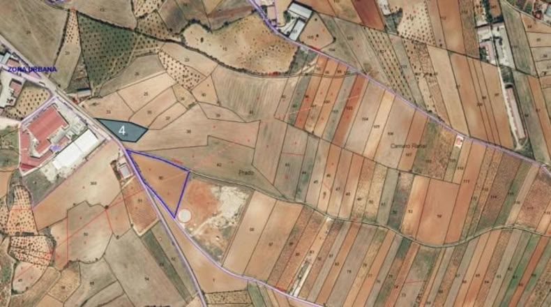 Cuenca - El Picazo - 3825m2