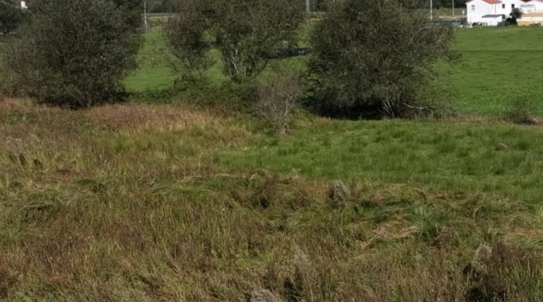 Cantabria - Santa María de Cayón - 1153m2