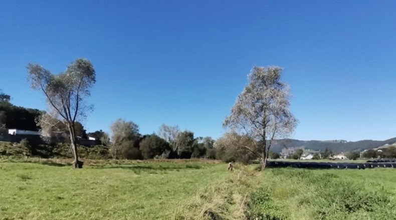 Cantabria - Santa María de Cayón - 1153m2