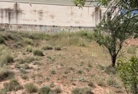 Foto 15