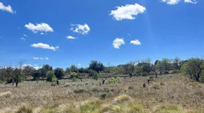 Teruel - Arens de Lledó - 10055m2