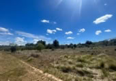 Xalet independent amb terreny en venda a la España, Arenys de Lledó, ref.: TR318945 foto