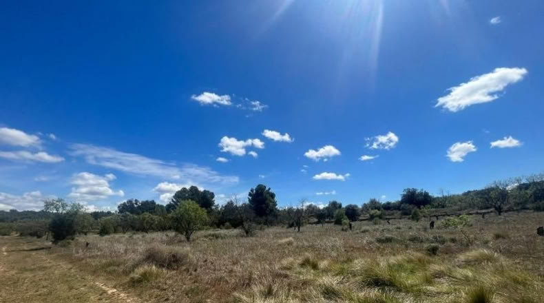 Teruel - Arens de Lledó - 10055m2