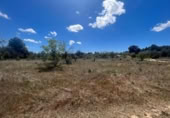 Xalet independent amb terreny en venda a la España, Arenys de Lledó, ref.: TR318945 foto