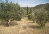 Terreny no urbanitzable en venda a la España, Calasparra, ref.: TR298337 foto