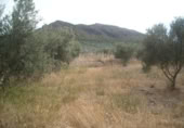 Terreny no urbanitzable en venda a la España, Calasparra, ref.: TR298337 foto