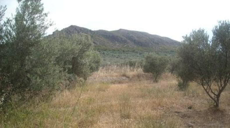 Murcia - Calasparra - 1129m2