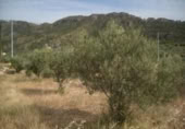 Terreny no urbanitzable en venda a la España, Calasparra, ref.: TR298337 foto
